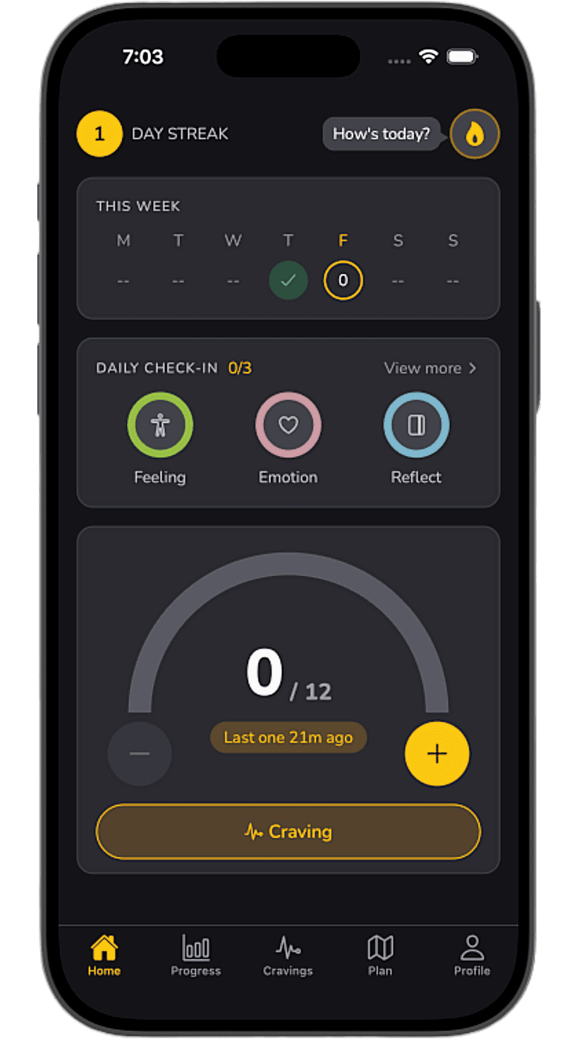 Dashboard - Track your daily progress